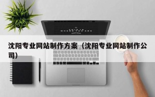 沅江沈阳专业网站制作方案（沈阳专业网站制作公司）